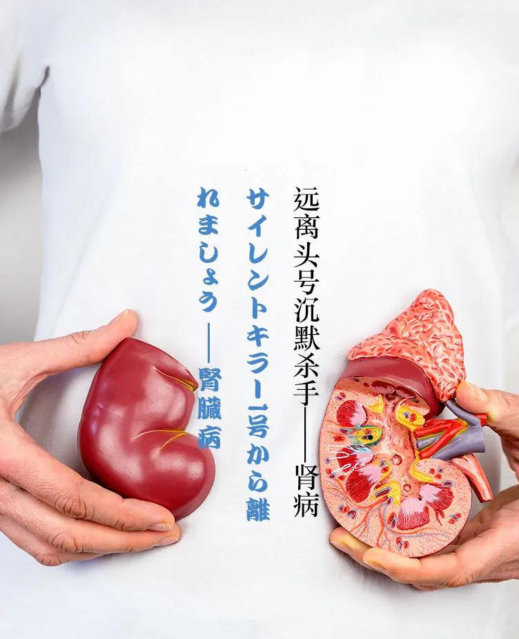 Stay away from the number one silent killer-kidney disease